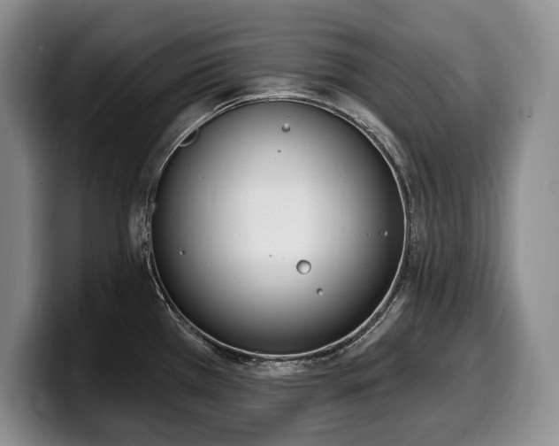 X0000100321385200806051508