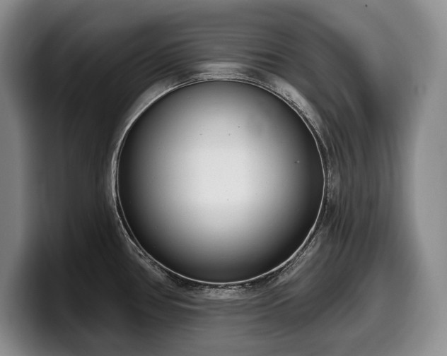 X0000100321386200806051508