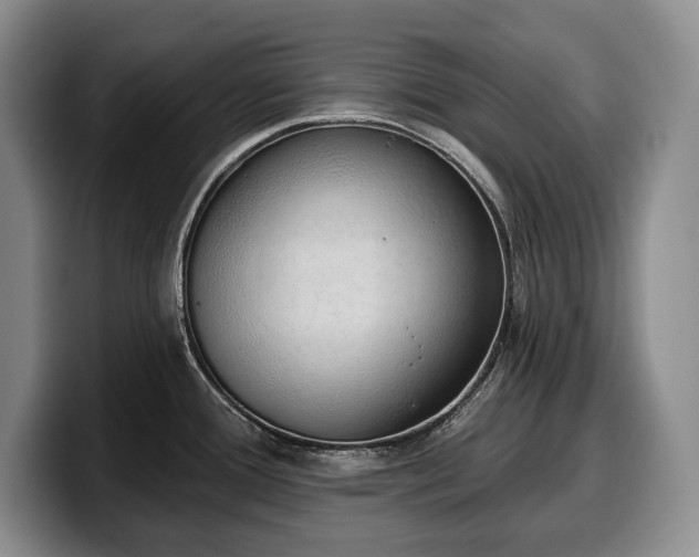 X0000100321388200806051508