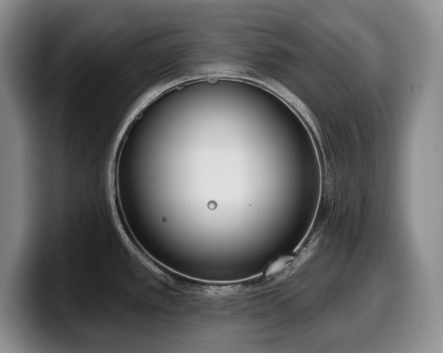 X0000100321389200806051508