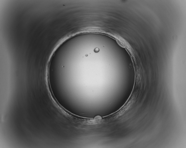 X0000100321390200806051508