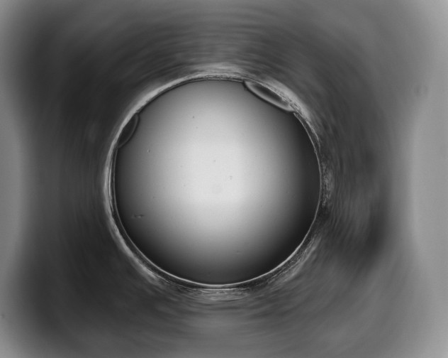 X0000100321391200806051508