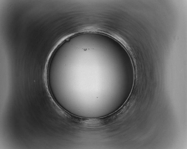 X0000100321392200806051508