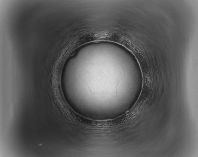 X0000100321393200806051507