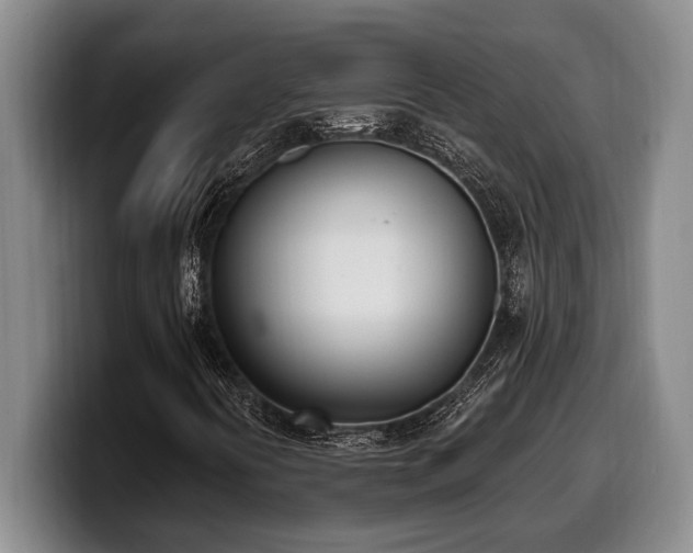 X0000100321394200806051507