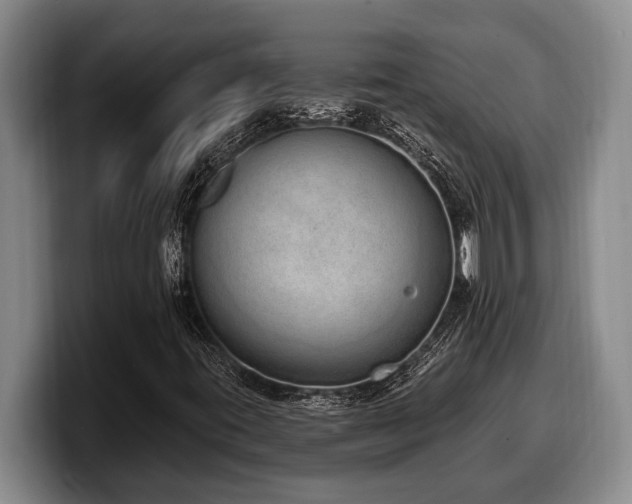 X0000100321395200806051507
