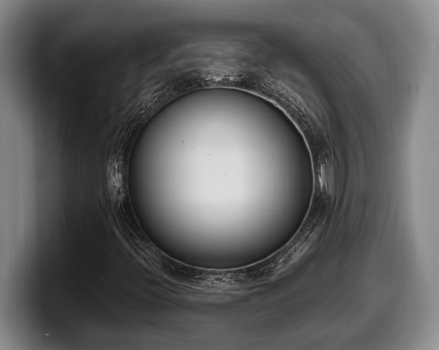 X0000100321396200806051507