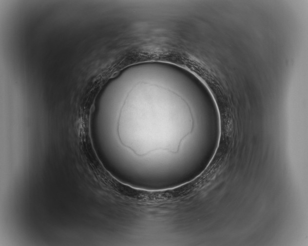 X0000100321397200806051507