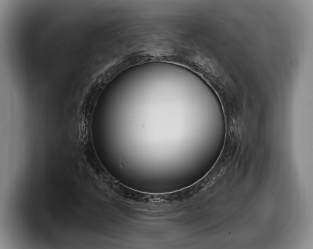 X0000100321398200806051507