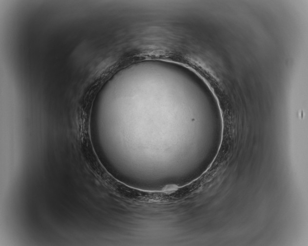 X0000100321399200806051507