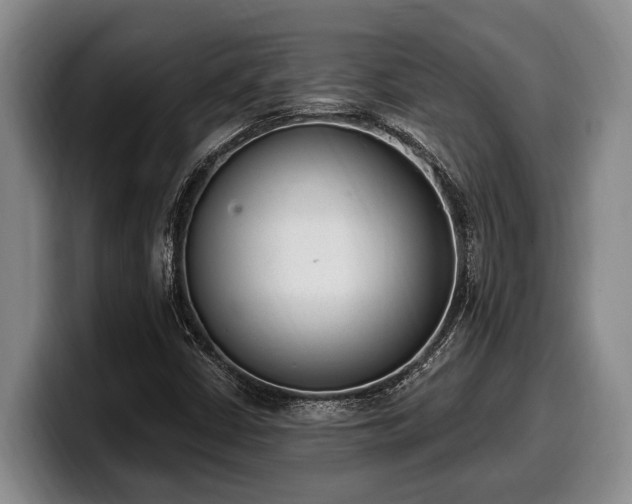 X0000100321402200806051507