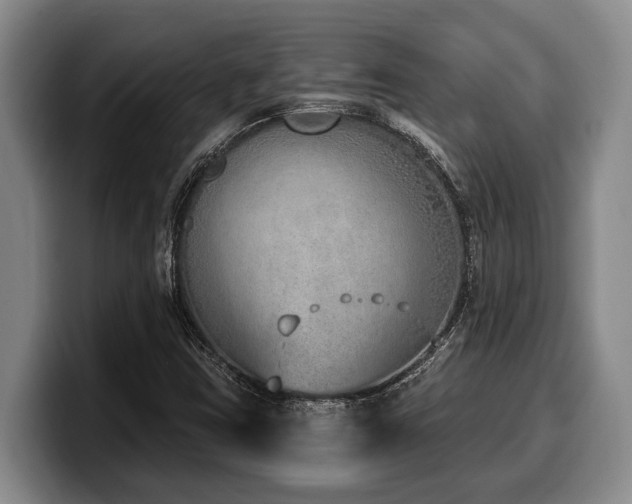 X0000100321403200806051507