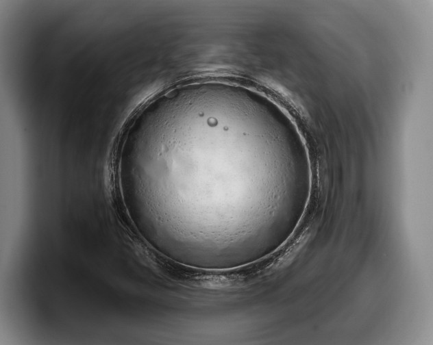 X0000100321405200806051507