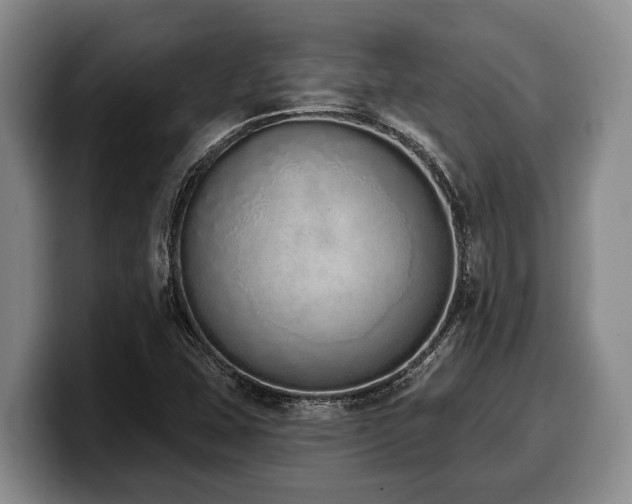 X0000100321407200806051507