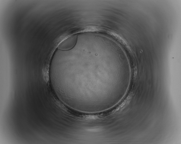 X0000100321409200806051507