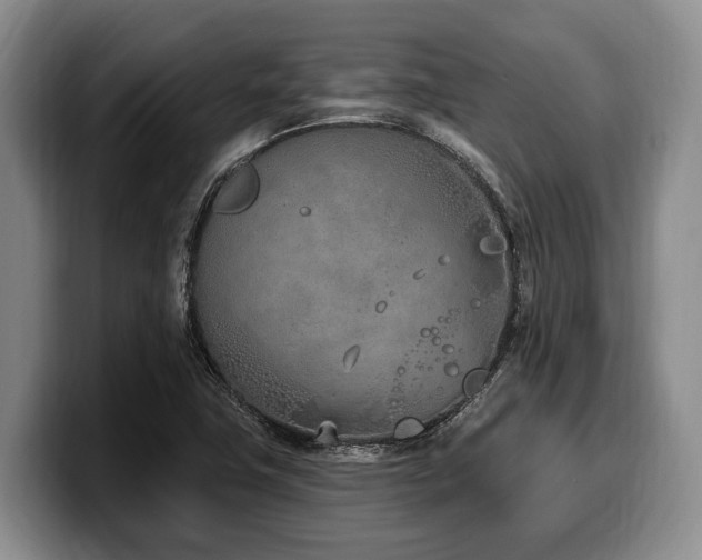 X0000100321411200806051507