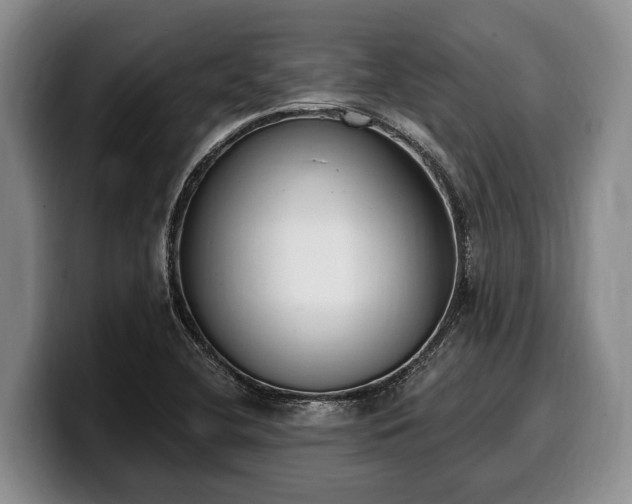X0000100321412200806051507