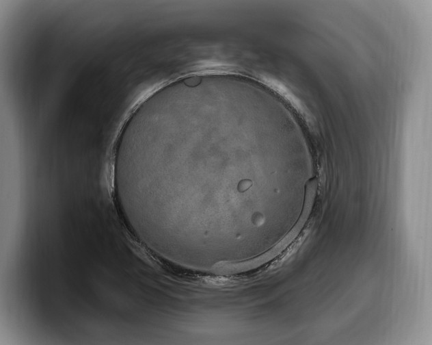 X0000100321413200806051507