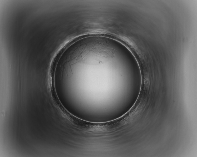 X0000100321414200806051507