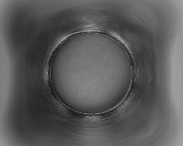 X0000100321415200806051507