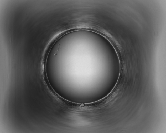 X0000100321416200806051507