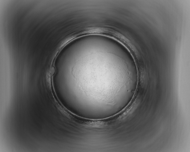 X0000100321417200806051507