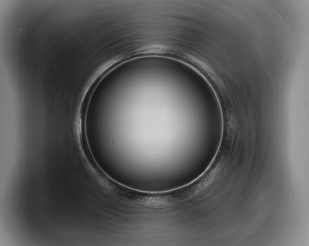 X0000100321418200806051507