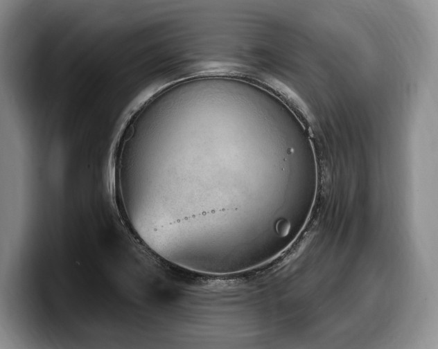 X0000100321419200806051507