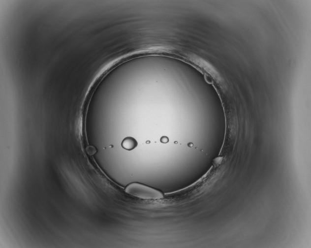 X0000100321420200806051507
