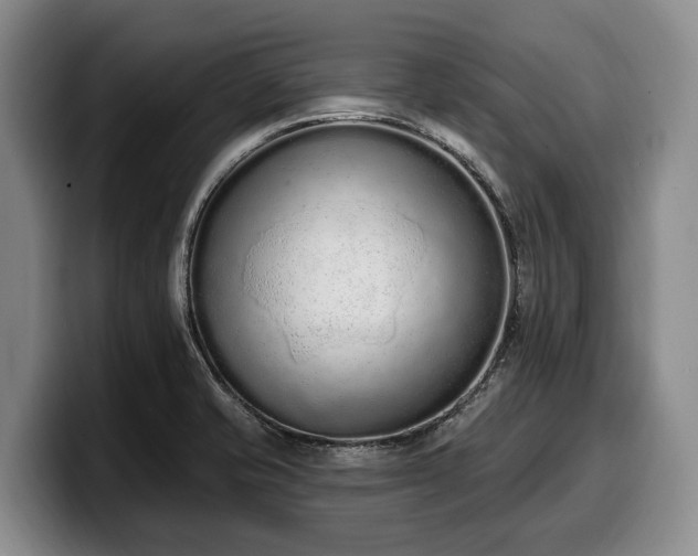 X0000100321421200806051507
