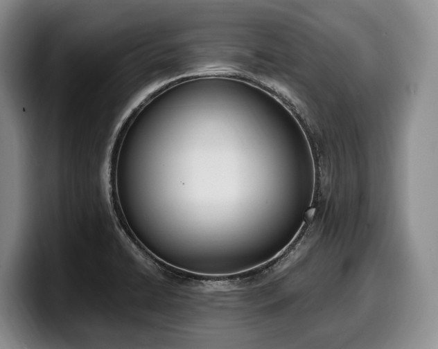 X0000100321422200806051507