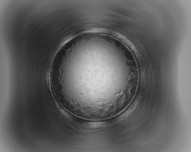 X0000100321425200806051507