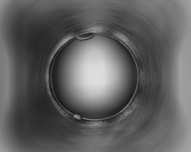 X0000100321426200806051507