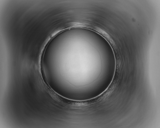 X0000100321427200806051507