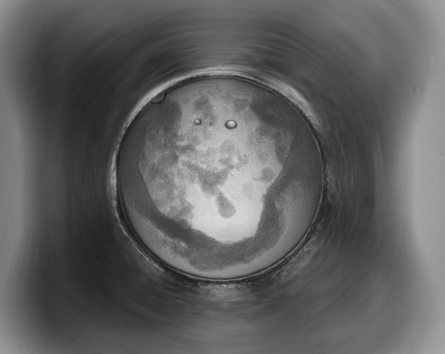 X0000100321428200806051507