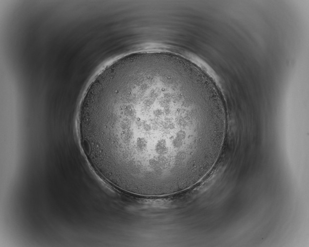 X0000100321429200806051507