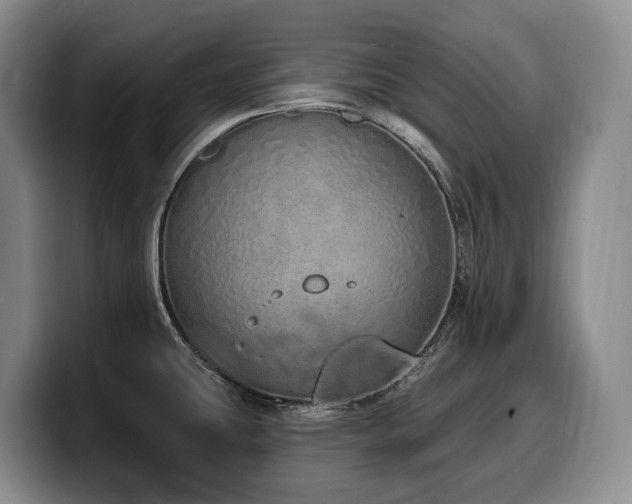 X0000100321431200806051507