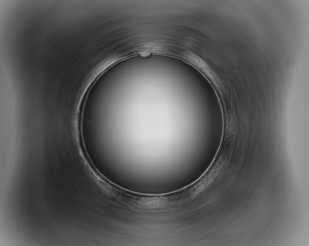 X0000100321434200806051507