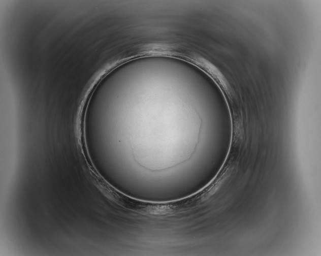 X0000100321435200806051507
