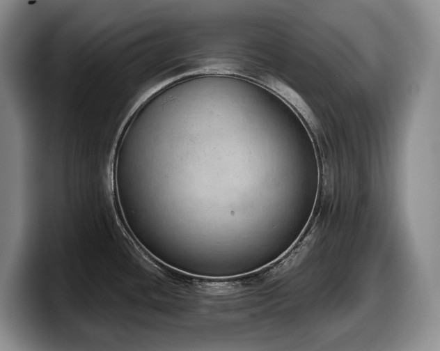 X0000100321436200806051507
