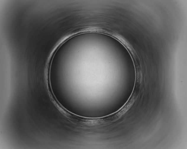 X0000100321438200806051507