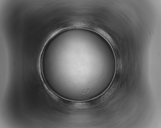 X0000100321439200806051507