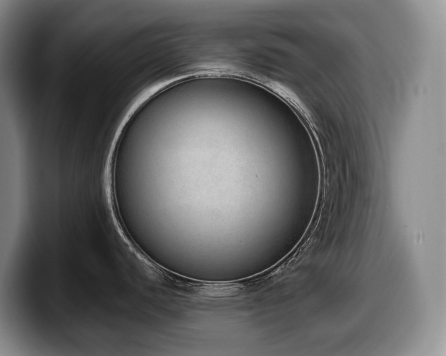 X0000100321440200806051508