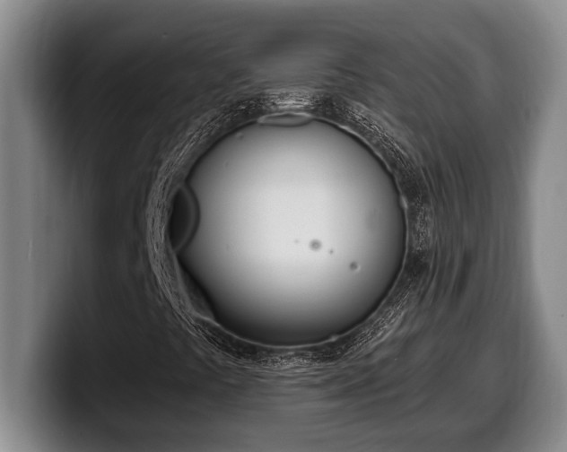 X0000100321441200806051507