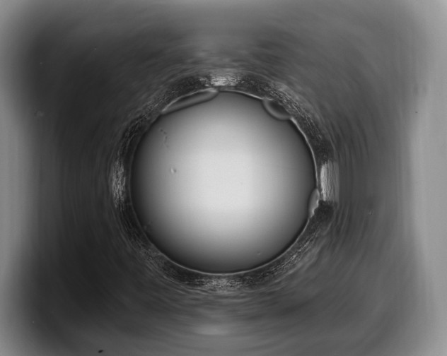 X0000100321443200806051507