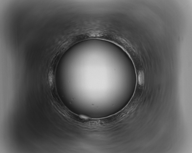 X0000100321444200806051507