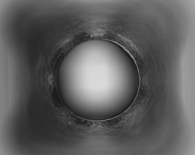 X0000100321445200806051507