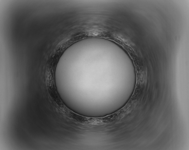 X0000100321446200806051507