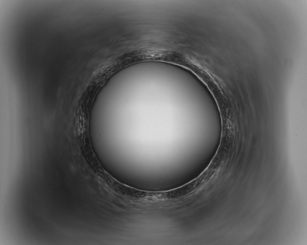 X0000100321447200806051507