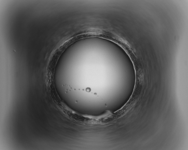 X0000100321448200806051507